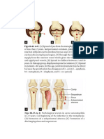 Print Gambar Logbook Osteomyelitis