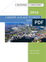 Cardiff, A Place To Enjoy Yourself!