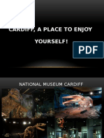 Cardiff, A Place To Enjoy