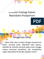 Anatomi Fisiologi Postpartum