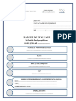 Raport de Evaluare