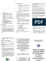CNSP File PDF