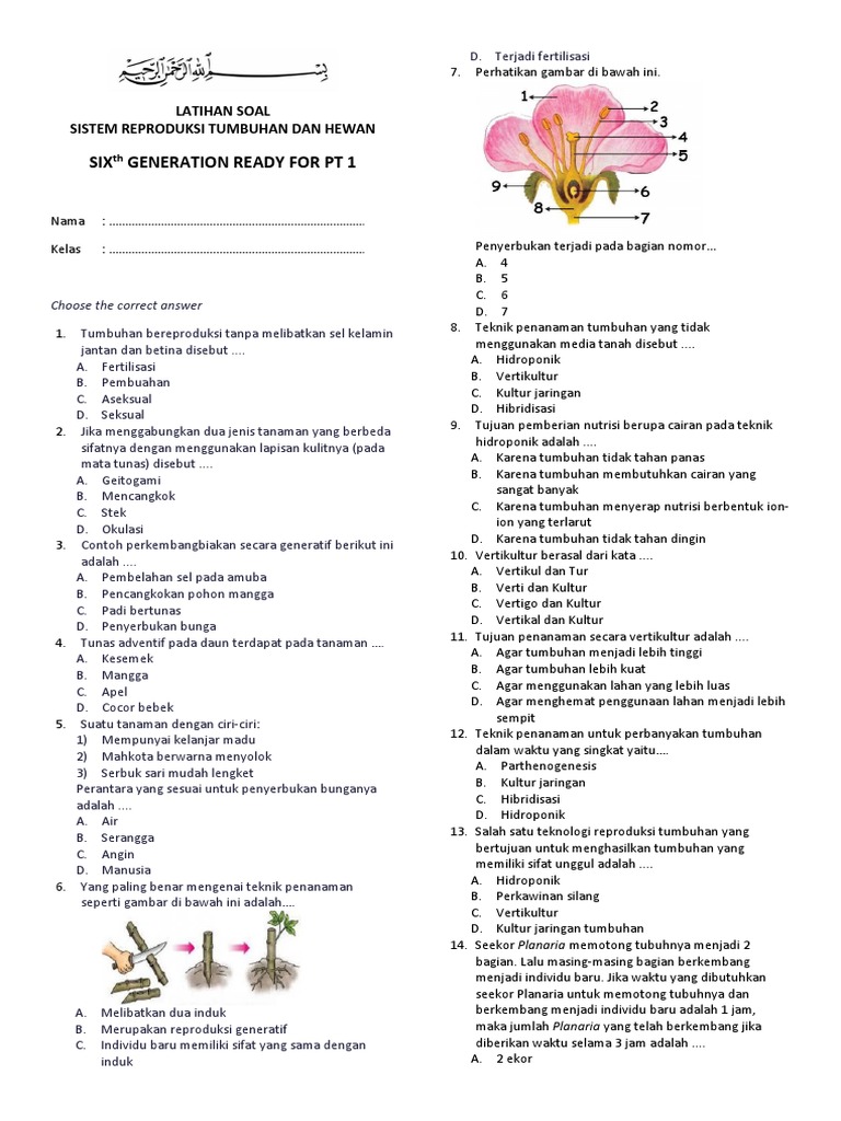 Latihan Soal Perkembangbiakan Hewan Dan Tumbuhan Kelas 9 Essay