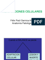 ADAPTACIONCLLAR.ppt