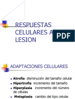 ADAPTACIONES CELULARES.ppt