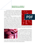 Territorios Vasculares PDF