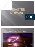 Disaster Final