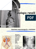 Renal-Functii Renale PDF