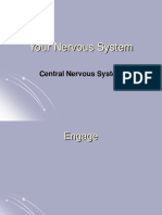 22 Biology 2-6-08 Nervous System 2 CNS