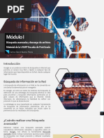 Módulo I Busqueda Avanzada