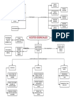 Aceites Esenciales - Mapa Conceptual