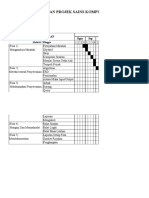 Carta Gantt (Plain)