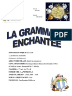 VI LA GRAMMAIRE - Programa Optional