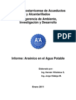 Informe Arsénico en El Agua Potable