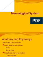 Neurological System