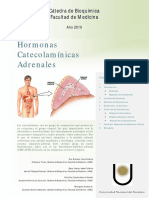catecolaminas.pdf