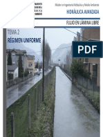 T2 Régimen Uniforme PDF
