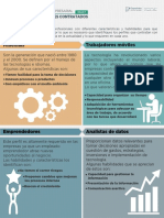 Tipos de Perfiles Contratados PDF