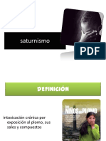 Saturnismo 110509205103 Phpapp01