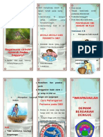 Leaflet DBD