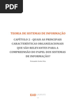 Teoria de Sistemas de Informação - Cap2