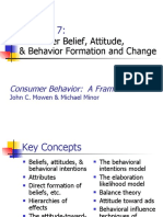 Onsumer Belief, Attitude, & Behavior Formation and Change: Consumer Behavior: A Framework