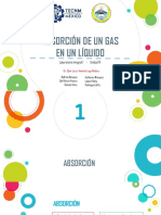 Absorcion de Gas en Un Líquido PDF