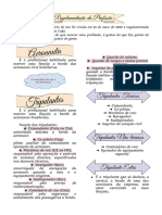 Resumo RPA PDF