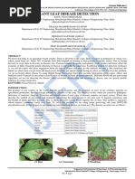 Plant Leaf Disease Detection