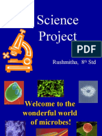 Science Project: Rushmitha, 8 STD