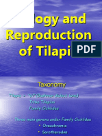 Biology and Reproduction of Tilapia