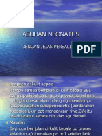 Download Asuhan Neonatus Dgn Jejas Persalinan by Ririn Abram SN38878199 doc pdf