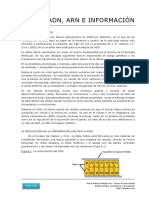 115 ADN ARN e Informacion PDF