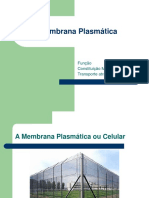 4 Membrana Plasmática (1).ppt