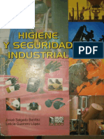 Higiene y Seguridad Industrial PDF