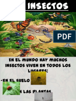 Los insectos Para Infantil