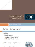 Sistema Respiratório: Funções e Controle