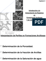 REGISTRO DE POZOS - Interp. de Registros - Form. Arcillosas