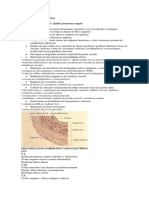 Histologia Dos Vasos Sanguíneos