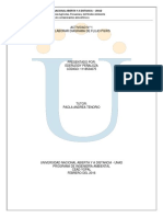 Elaborar Diagrama de Flujo PGIRS