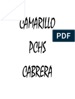 CAMARILLO.docx
