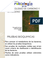 Metabolismo de Carbono y Nitrogeno