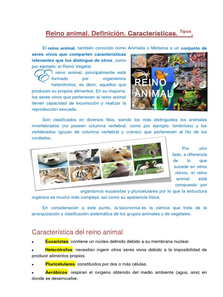 Características y clasificación del reino animal | PDF | Plantas |  Eucariotas