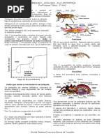 Bio.resumo.artropoda NAYARA