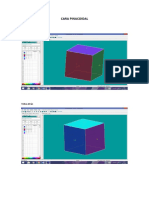 CARA PINACOIDAL.docx