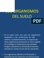 Edafología: Organismos Del Suelo