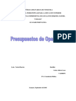 Presupuesto de Operacion