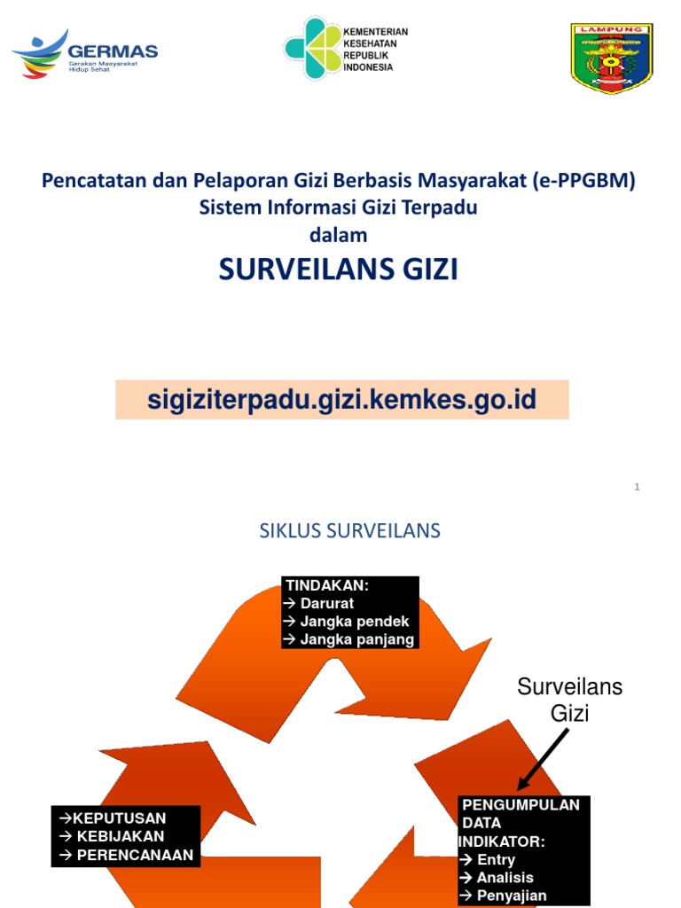 Sosialisasi Sigizi Terpadu Eppgbm Pptx