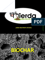 BIOCHAR.pdf