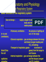 Respiratory System.pdf
